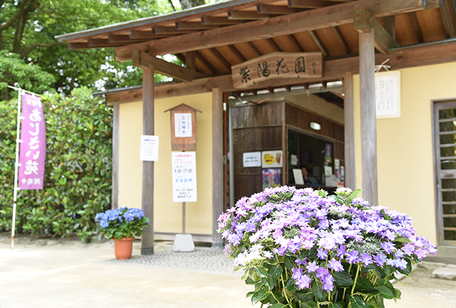 あじさい苑